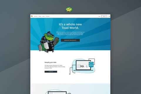 SaaS Product Website Redesign Proof of Concept project