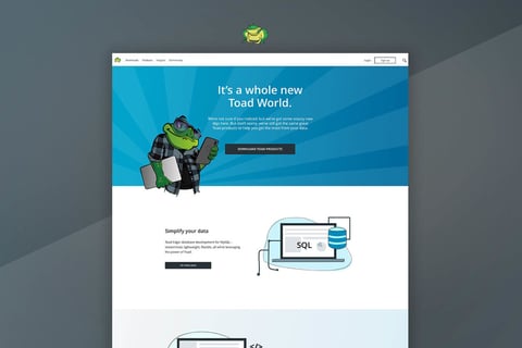 SaaS Product Website Redesign Proof of Concept project