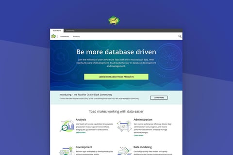 SaaS Product Website MVP project