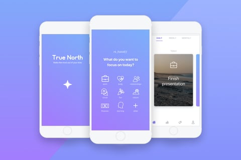 True North | Productivity and Personal Goal-setting App project