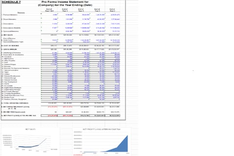 Company Valuation, Business Plan, Pitch Deck, Fundraising Strategy project