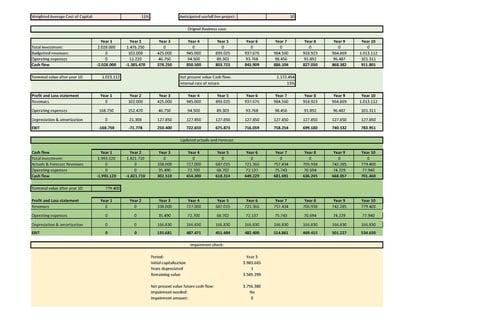 Software Capitalization and Impairment Model project