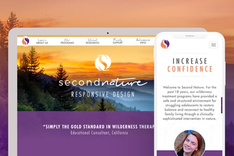 Second Nature Brand Creation and UI Design project
