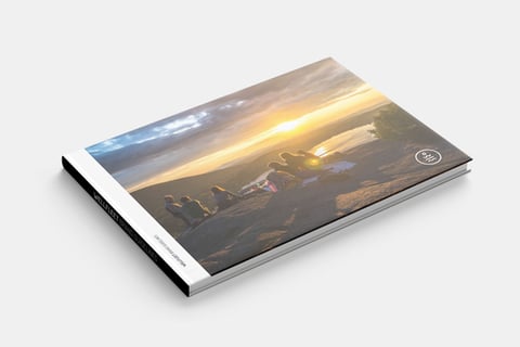 Wellfleet Brand Identity project