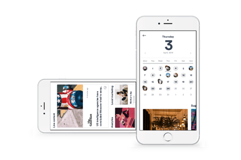 Elephant Media project