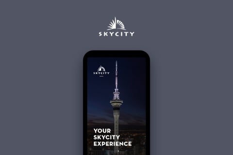 Skycity project