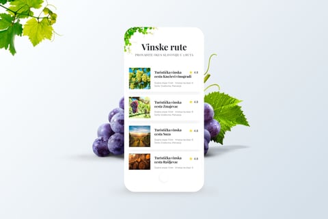 Wine Tour – Mobile App project