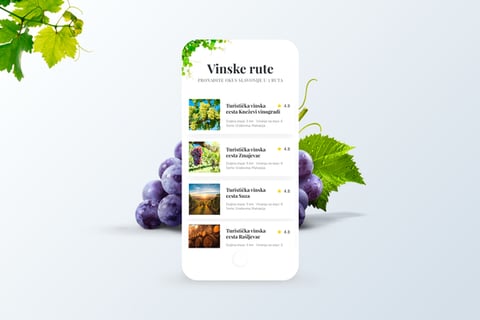 Wine Tour – Mobile App project
