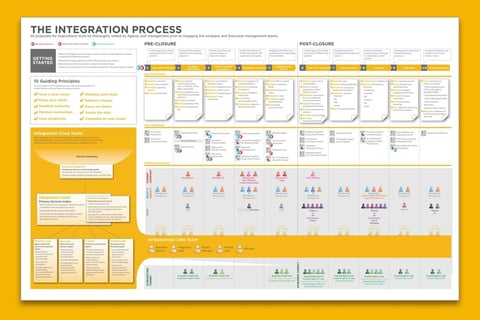 Corporate Integration Process project