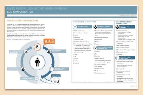 BCBS SC Information Delivery Recommendations project