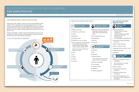 BCBS SC Information Delivery Recommendations project