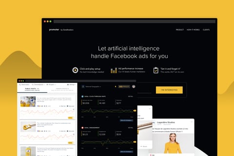 Databreakers | Marketing Optimization with AI project