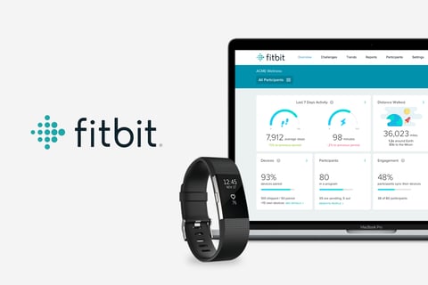 Fitbit Group Health Dashboard project
