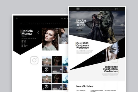 Model Agency Website project