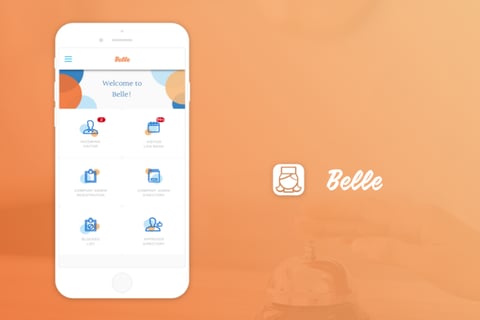 Belle project