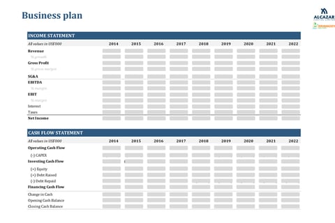 Telecom Infrastructure Company: Financial and Operational Plan project
