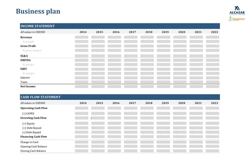 Telecom Infrastructure Company: Financial and Operational Plan project