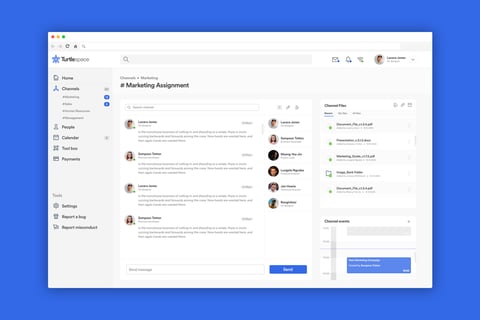 TurtleSpace - Enterprise Intranet Solution project