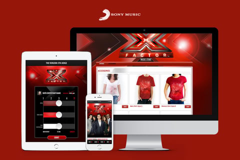 The X Factor project