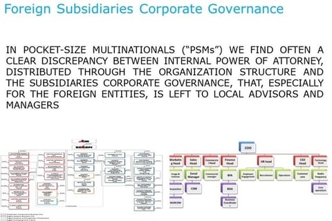 Corporate Governance for Foreign Subsidiaries project