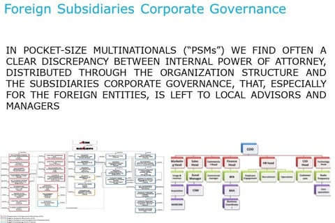 Corporate Governance for Foreign Subsidiaries project