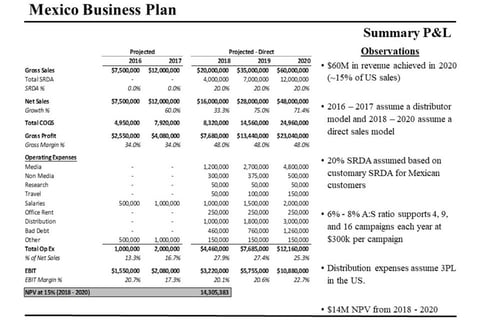 Mexico Business Plan: Long-term Strategic Planning project