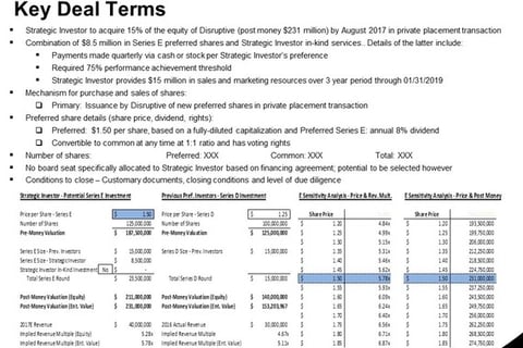Potential Strategic and Minority Investment in a Software Startup project