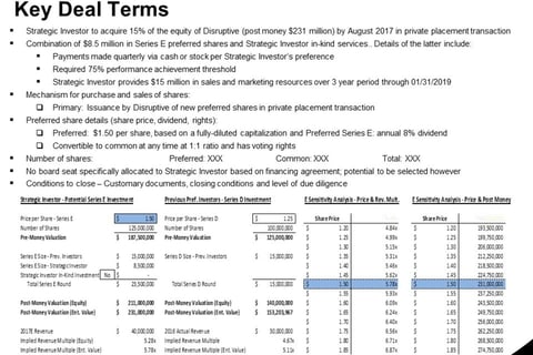Potential Strategic and Minority Investment in a Software Startup project