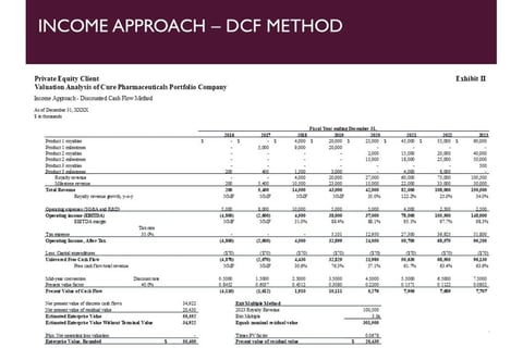 Business Enterprise Valuation of a Pharmaceuticals Portfolio Company project