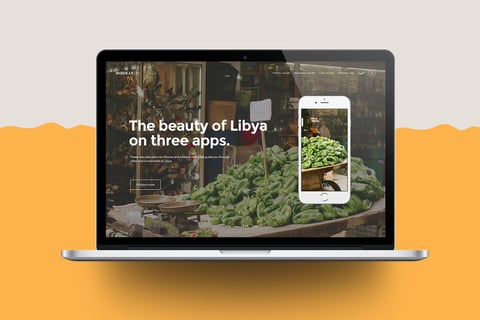 Guide Ly project