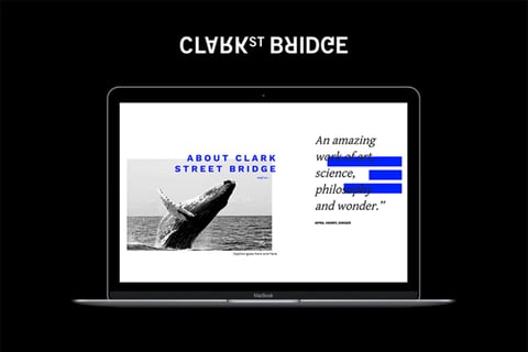 Clark Street Bridge Website project