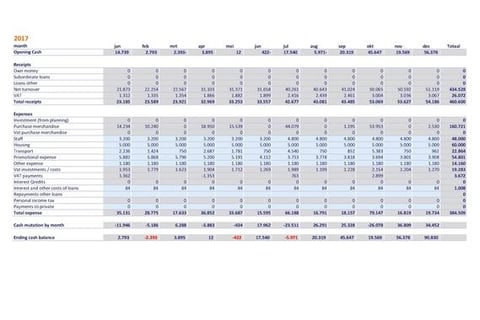 eCommerce Startup Business Plan project