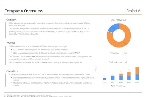 Investment Memorandum Extracts project