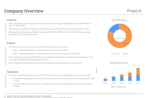 Investment Memorandum Extracts project