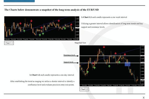 Hedge Fund Investor Presentation project