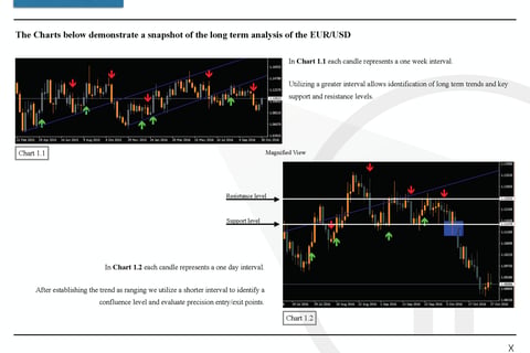 Hedge Fund Investor Presentation project