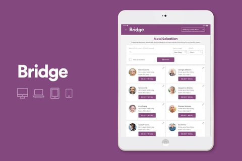 Bridge project