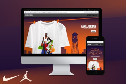 Nike Hare Jordan project