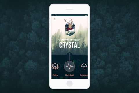 Small Business Insurance Branding and App project
