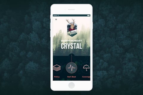Small Business Insurance Branding and App project