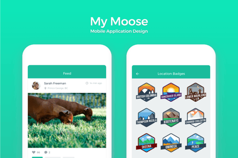 My Moose project