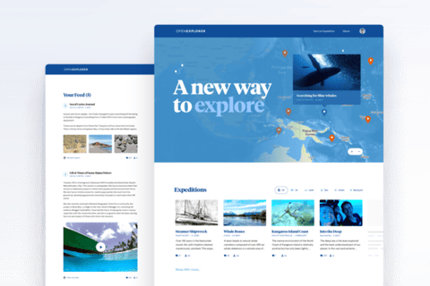 OpenExplorer | UI, UX, Web Design project