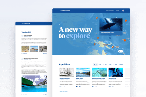 OpenExplorer | UI, UX, Web Design project