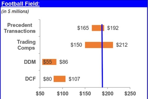 Full Valuation Analysis For a Potential Investment project