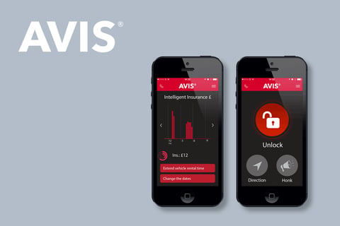 DELL: Avis project