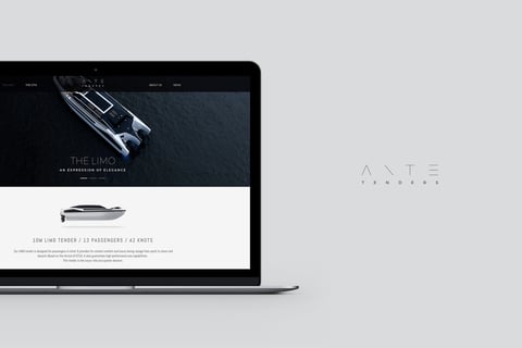 Luxury Tender Boats Branding project
