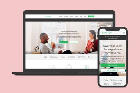 Teridion Website and Marketing Creatives project