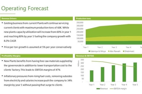 Investment Teaser – Financial Projections project