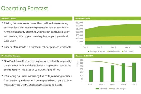 Investment Teaser – Financial Projections project