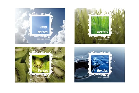 Berties project